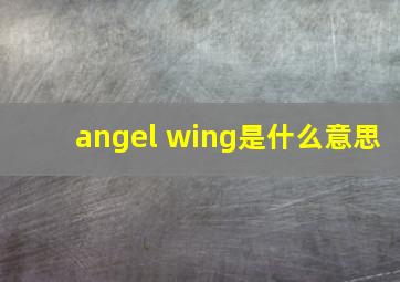 angel wing是什么意思